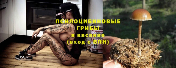 гидра Зеленодольск