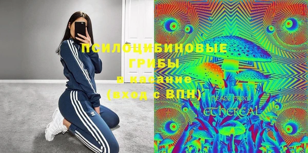 соль ск Абаза