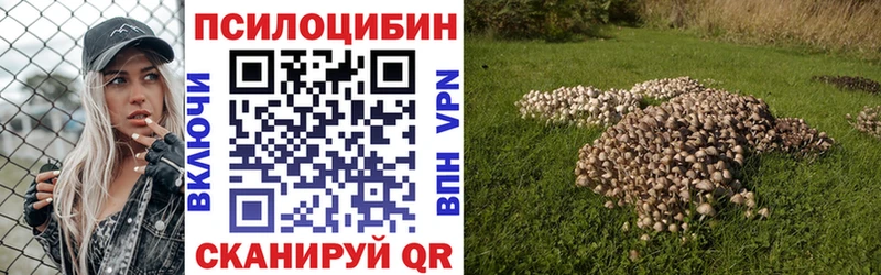 Псилоцибиновые грибы Psilocybine cubensis закладка Черногорск